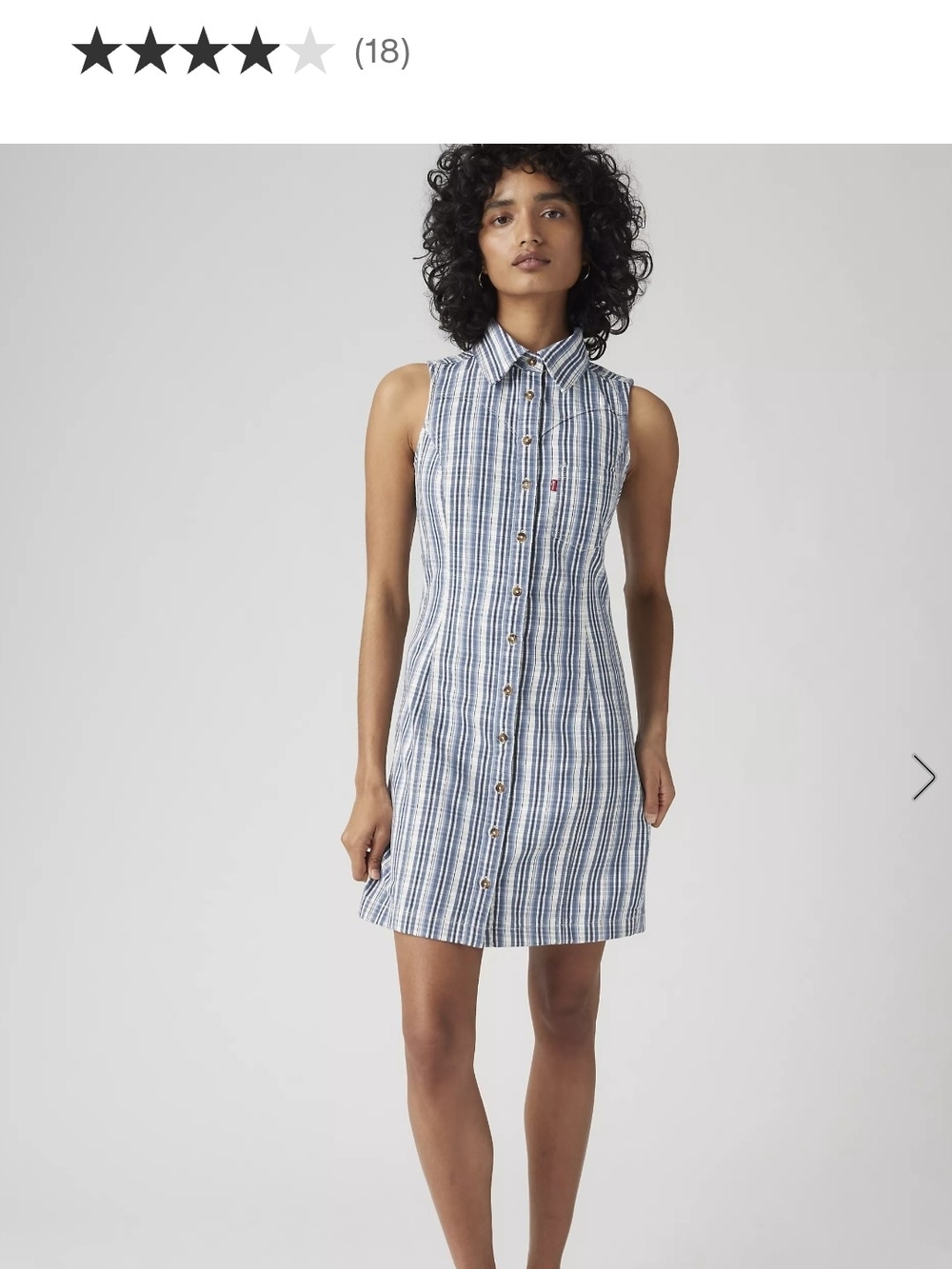 Levis Zeda Denim Striped Dress